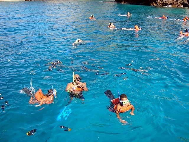  浮潜探索 